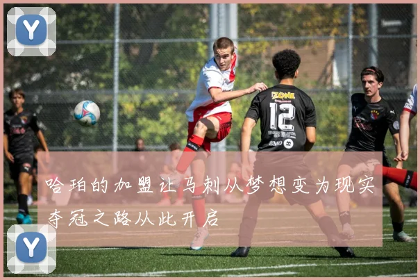 哈珀的加盟让马刺从梦想变为现实夺冠之路从此开启